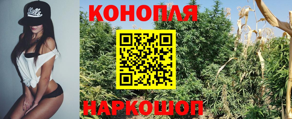 Бошки марихуана OG Kush  Конопля OG Kush  Вход с VPN  Людиново  Марихуана гибрид 
